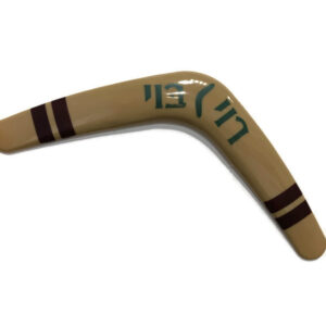 הבומרנג של רוי בוי